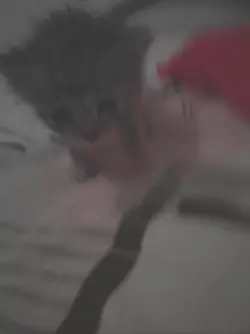 1741236908299.png