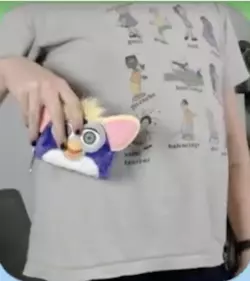 zcs3.png