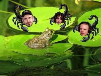 Pond full of scorpions.jpg