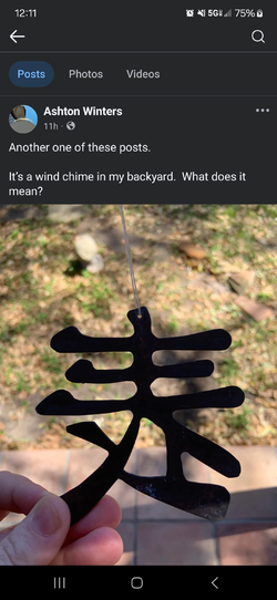 Screenshot_20250306_121117_Facebook.jpg