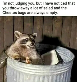 a (1).jpeg