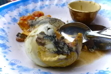 Balut-Egg-4-1536x1024.jpeg.webp