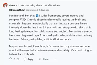Screenshot 2025-03-06 at 13-36-44 liltransgothslut (u_liltransgothslut) - Reddit.png