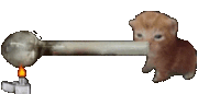 crack cat smaller.gif
