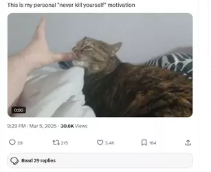 cateatsfatty.png