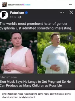 PregnantElon.jpg
