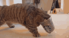 cream-heroes-lulu-933796286.gif