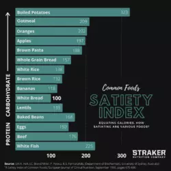 snco-satiety-index-graphic-1024x1024.png