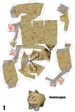 20250307_140032.jpg