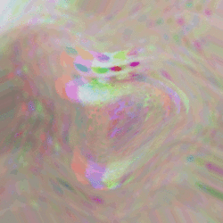 IMG_7952.gif