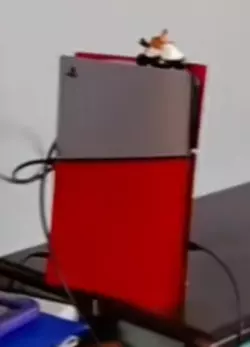 1741376916306.png