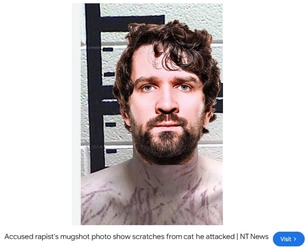rapescars.jpg