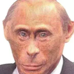 rusiamonky.jpg