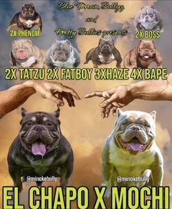GlbX1urbwAAi3fb.jpg