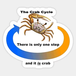 1549568780045.jpg