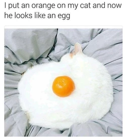 1550228412289.jpg