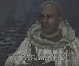 Tasheen.png