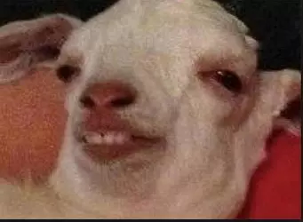 stoned goat.jpg