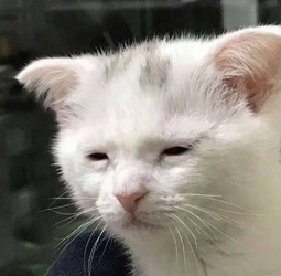 tired.jpg