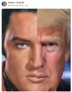 1741497882600.png
