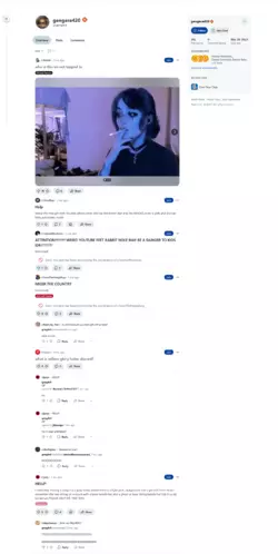 Screenshot gengara420 (u_geng4r4) - Reddit.png