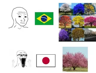 1741558779773.png