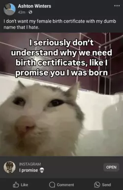 pixy-birthcertificate.png