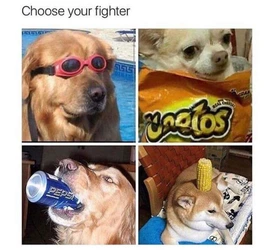tumblr_ojq633iSlw1r1mpi1o1_540.jpg