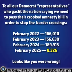 1741631306229.png