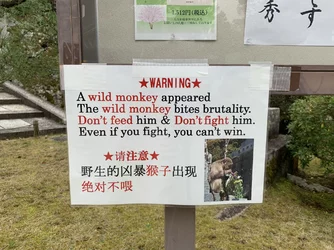 do not test the monkey.jpg