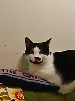 1741647214592.png
