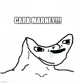 cark.jpg