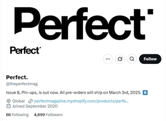 perfectmag.jpg