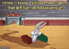IMG_0114.gif