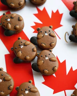 beav macaroons.jpg