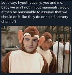 nothing but mammals.webp