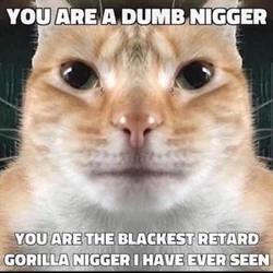 1618515843508.jpg