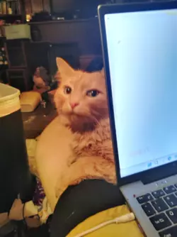 1741791778556.png