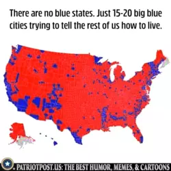 1741811072208.png