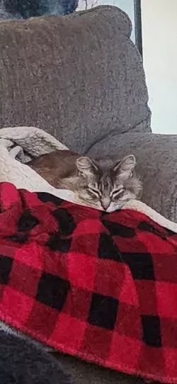 20250301_070731.jpg