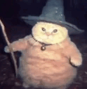 Wizard Cat Sleep.gif