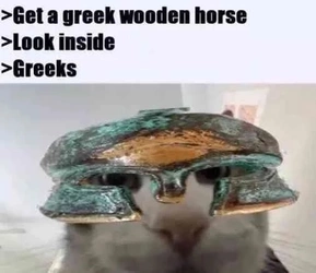 1741855521809.jpeg