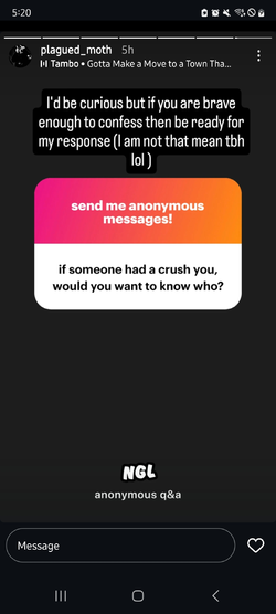 Screenshot_20250313_052055_Instagram.jpg