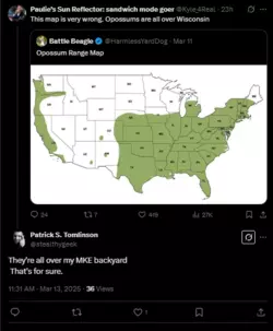 1741872074180.png