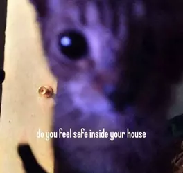 1741902951238.png