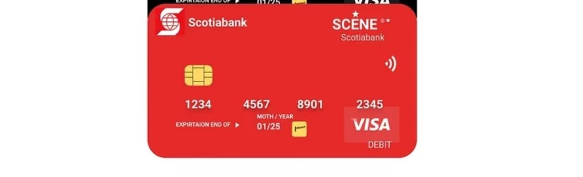 scotia bank 2.jpeg