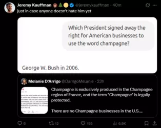 Bush Champagne 06.png