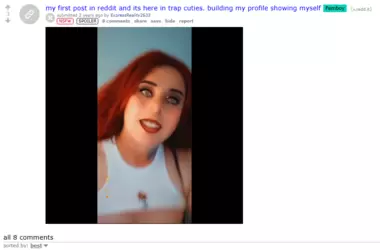 Femboy reddit post.png