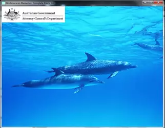 dolphins.png