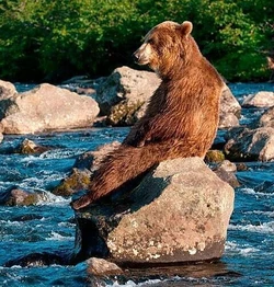 GlpM-HoWQAAsd-h.jpg
